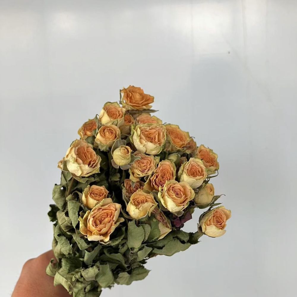 Настоящие стабилизированные ро – обзор и цена Resin Art Rose