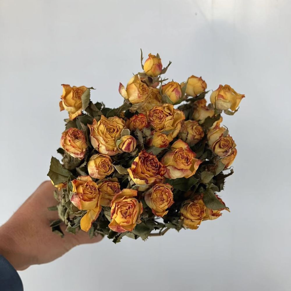 Настоящие стабилизированные ро – обзор и цена Resin Art Rose